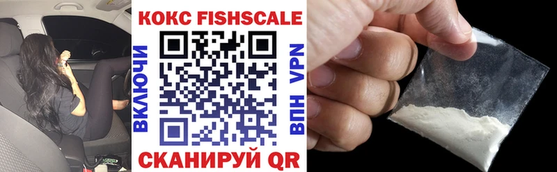 COCAIN Fish Scale  Купить  Городец 