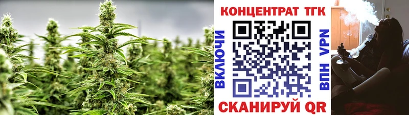 ТГК вейп с тгк  Купить закладки  Городец 